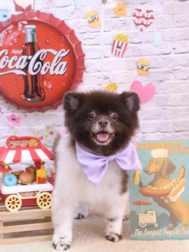 20230927太郎くん